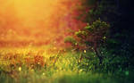 Nature 2 by mohammadshadeed