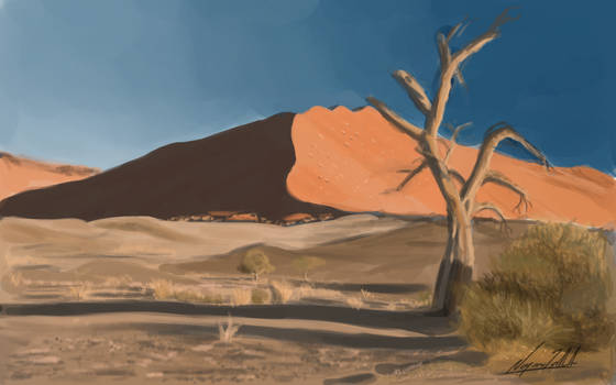 Desert study