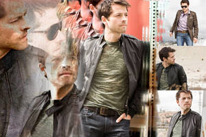 Misha Wallpaper
