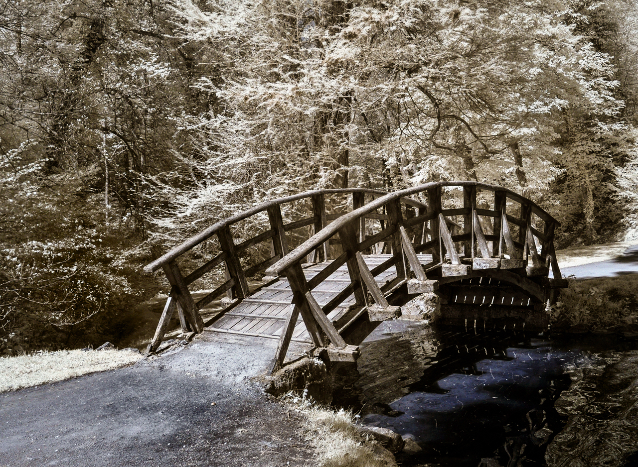 Wooden Bridge I