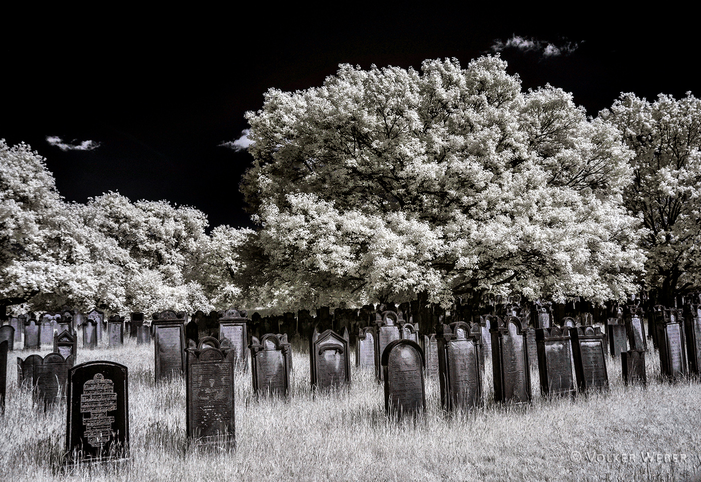 cemetery