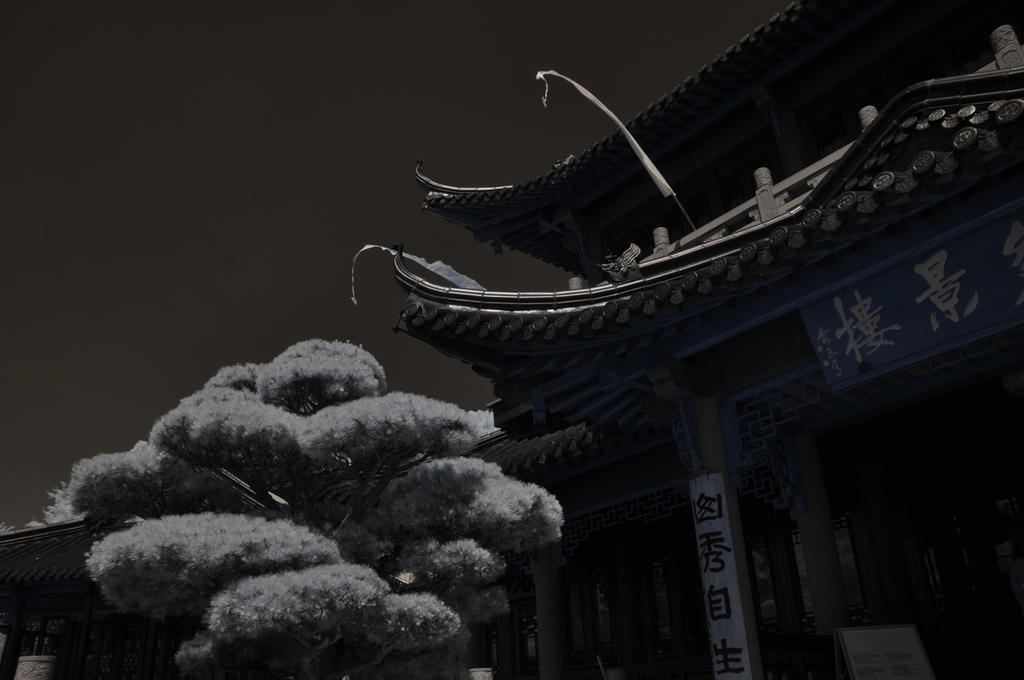 07Juni2015 059 30 by vw1956 07Juni2015 059 30 by vw1956