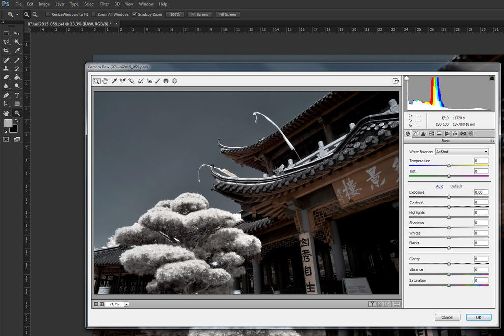 04 Raw021 by vw1956 04 Raw021 by vw1956