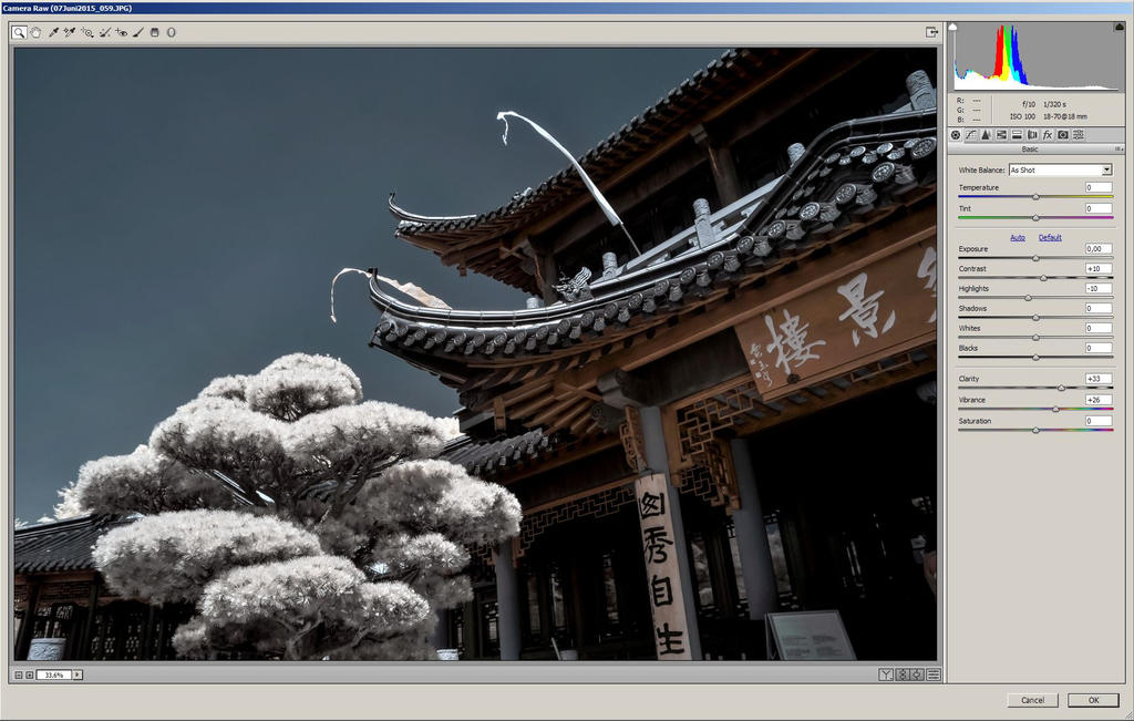 04 Raw03 by vw1956 04 Raw03 by vw1956