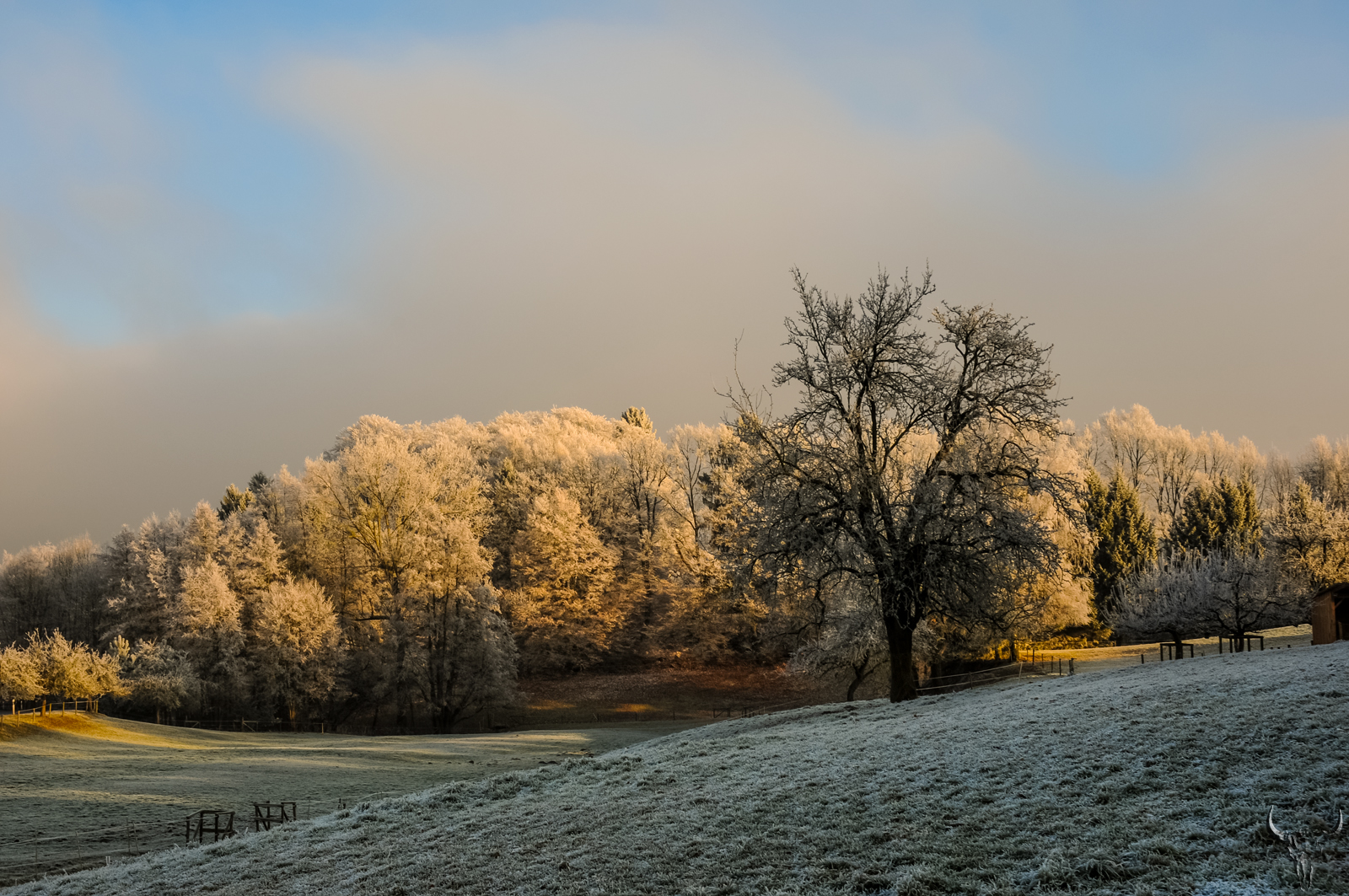 Sometimes in winter