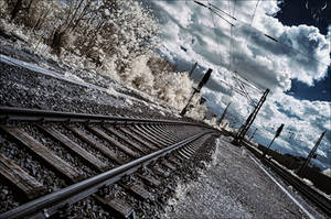 rails. by vw1956