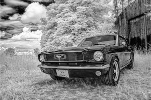 Mustang 1966
