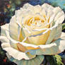 The White Rose Of Love And Friendship By Analovec