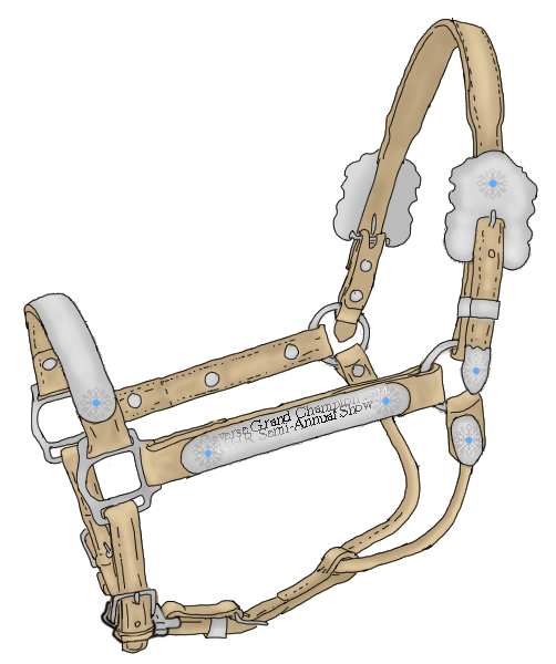 HHR Semi-Annual Reserve Champion Halter