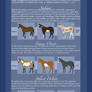 JC Paint Chart