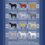 JC Color Chart