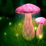 CG Mushroom