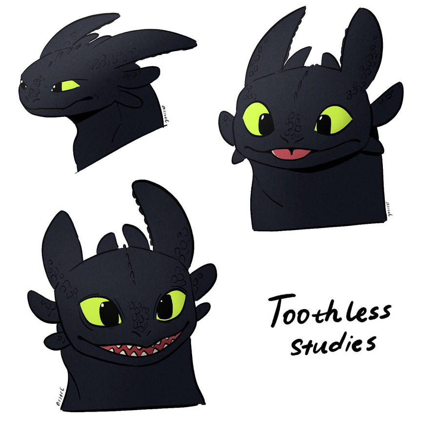 Toothless Studies by dr-artiel on DeviantArt