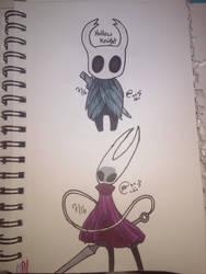 Hollow knight