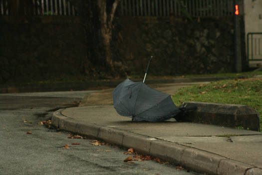 The Lonely Umbrella