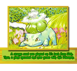 Bulbasaur Lv 13