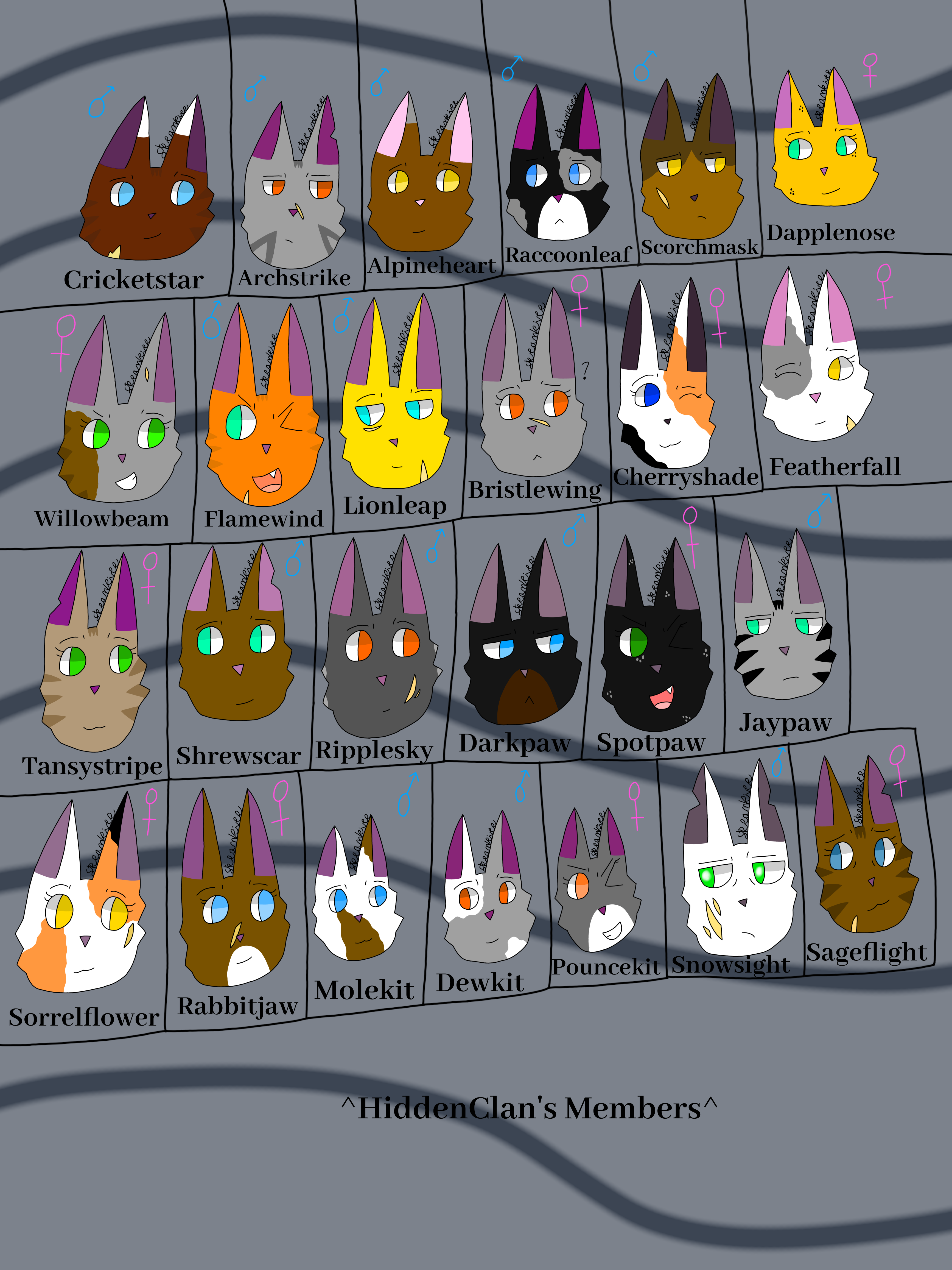 MCYT Warrior Cats AU 2 by aoifehorse on DeviantArt