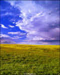 Dreaming Awake by zoomzoom
