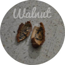 walnut