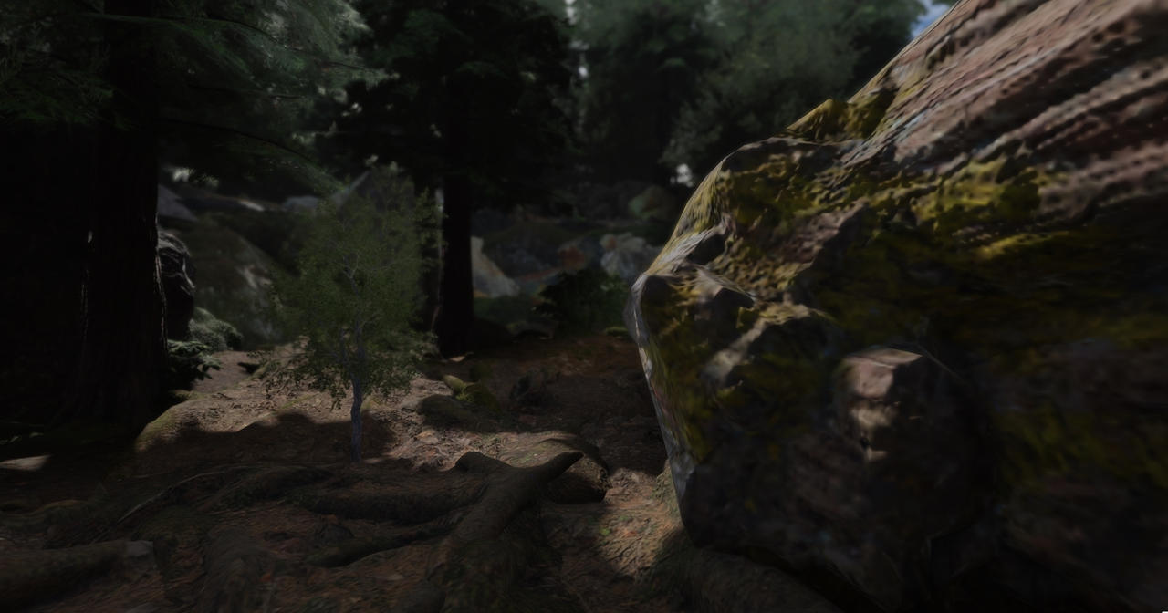 Forest Three Forest Three by aIatarr on DeviantArt