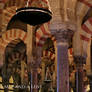 Cordoba: The Great Mosque (Shot three)