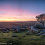 Sunset at Dartmoor