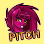 Pitch Badge Design