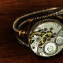 Steampunk Ring