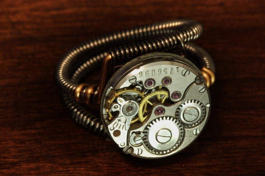 Steampunk Ring