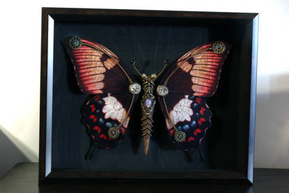 Steampunk butterfly no.7