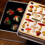 Botanical Mushroom Dice Vault and dice set