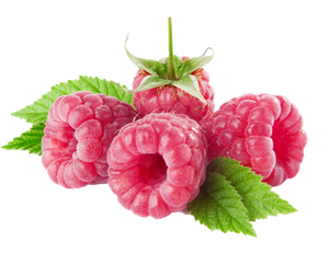 Raspberry on a transparent background.