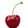 Fruit of a cherry on a transparent background