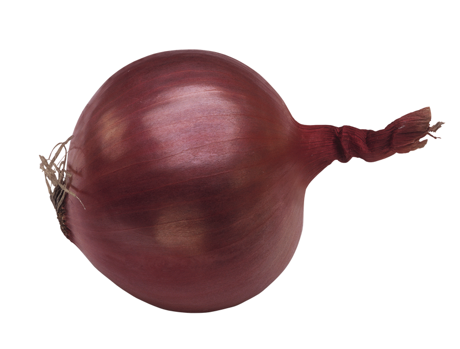 Soccer ball on a transparent background. by PRUSSIAART on DeviantArt