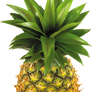 Pineapple on a transparent background.