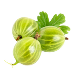 Fruits of gooseberries on a transparent background