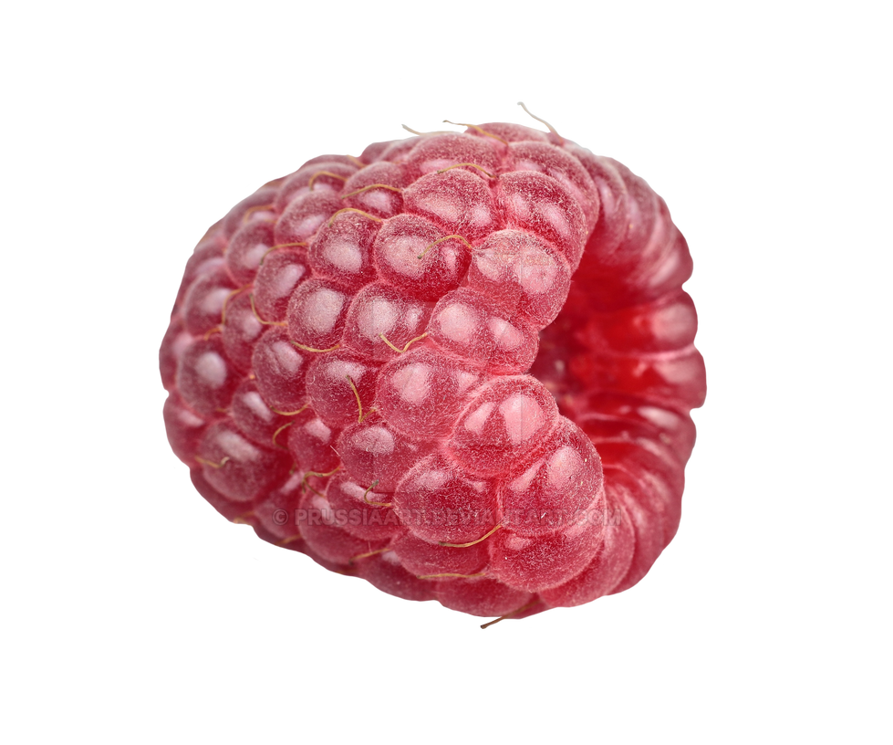 Berry raspberries on a transparent background. by PRUSSIAART on DeviantArt