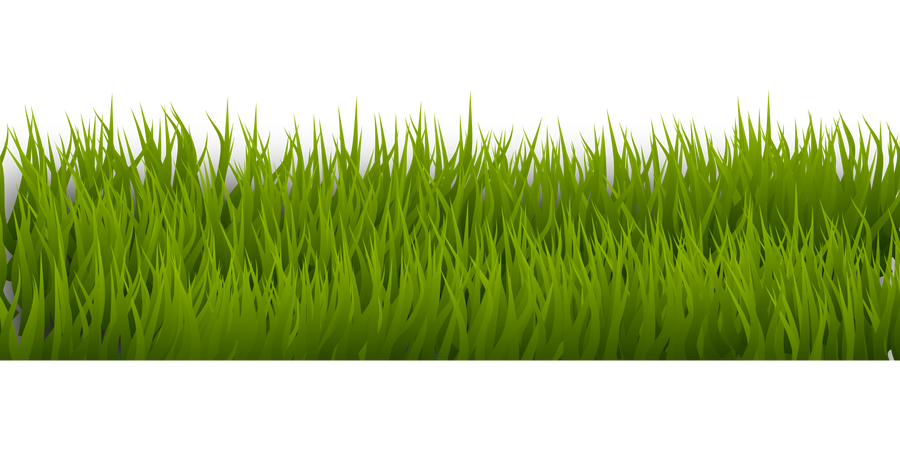 Download Vector Green Grass Png