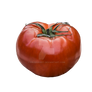 Red tomato on a transparent background