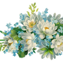 Flowers painted on a transparent background