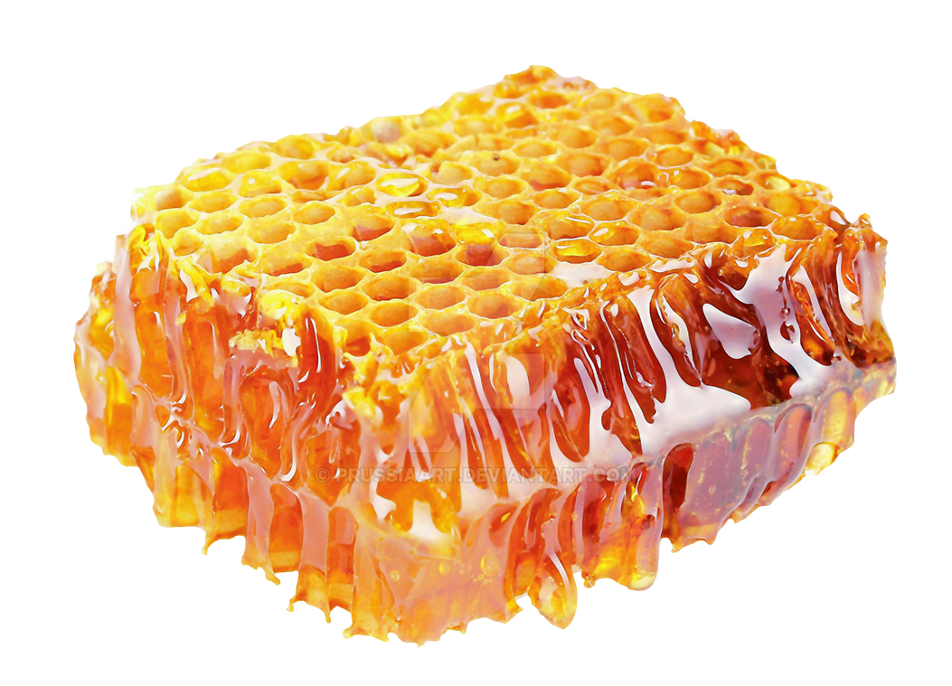 Honey comb on a transparent background. by PRUSSIAART on DeviantArt