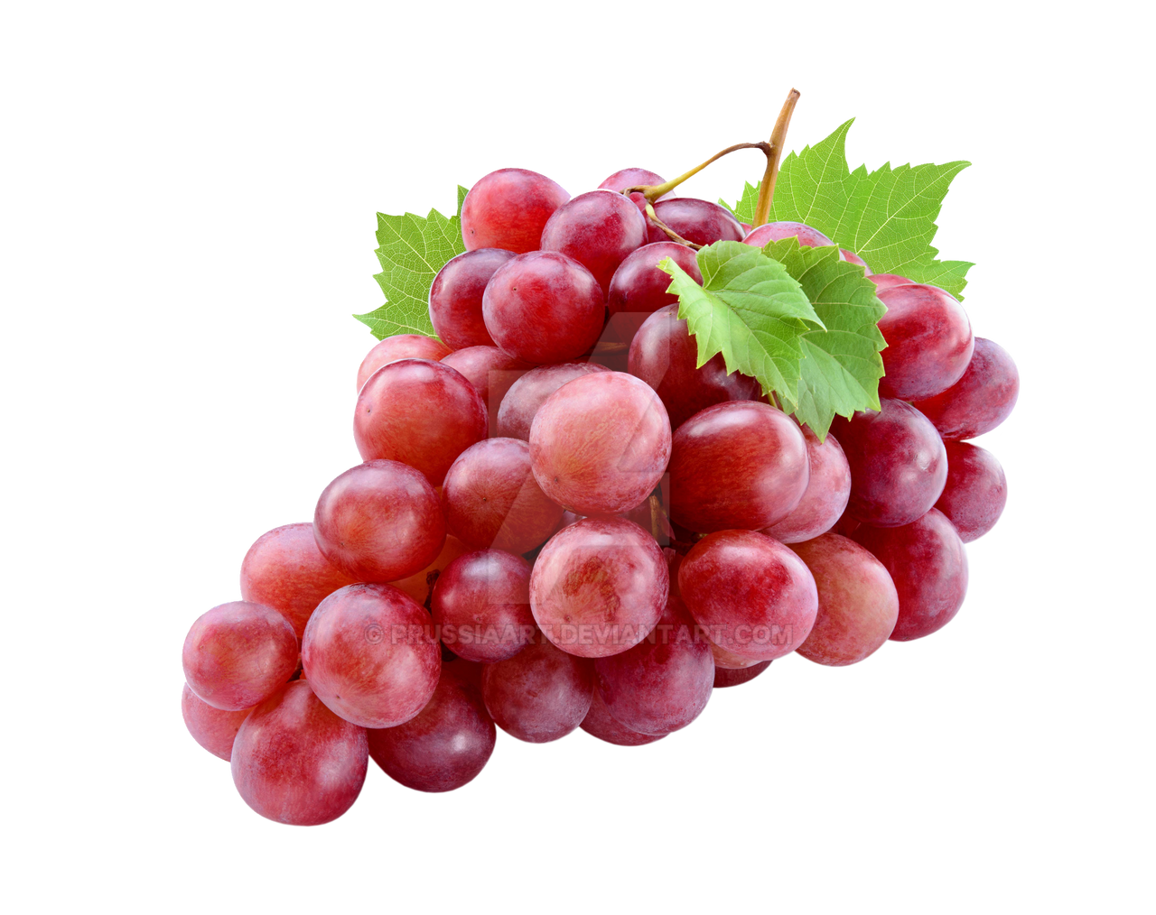 Red Grape Background Red grapes on a transparent background. by PRUSSIAART on DeviantArt