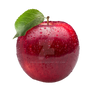 Red apple on a transparent background.