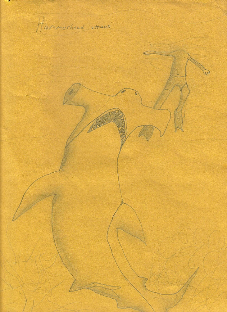 Hammerhead Attack