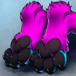 Yozora Paws - by Caesarus