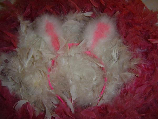 Feather Rabbitears Feather bunny by Fairyteyla on DeviantArt