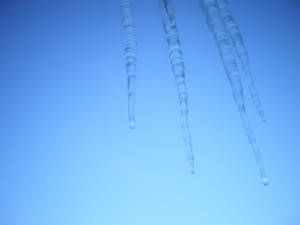 icicles