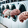 laundry brainz 0002/9999