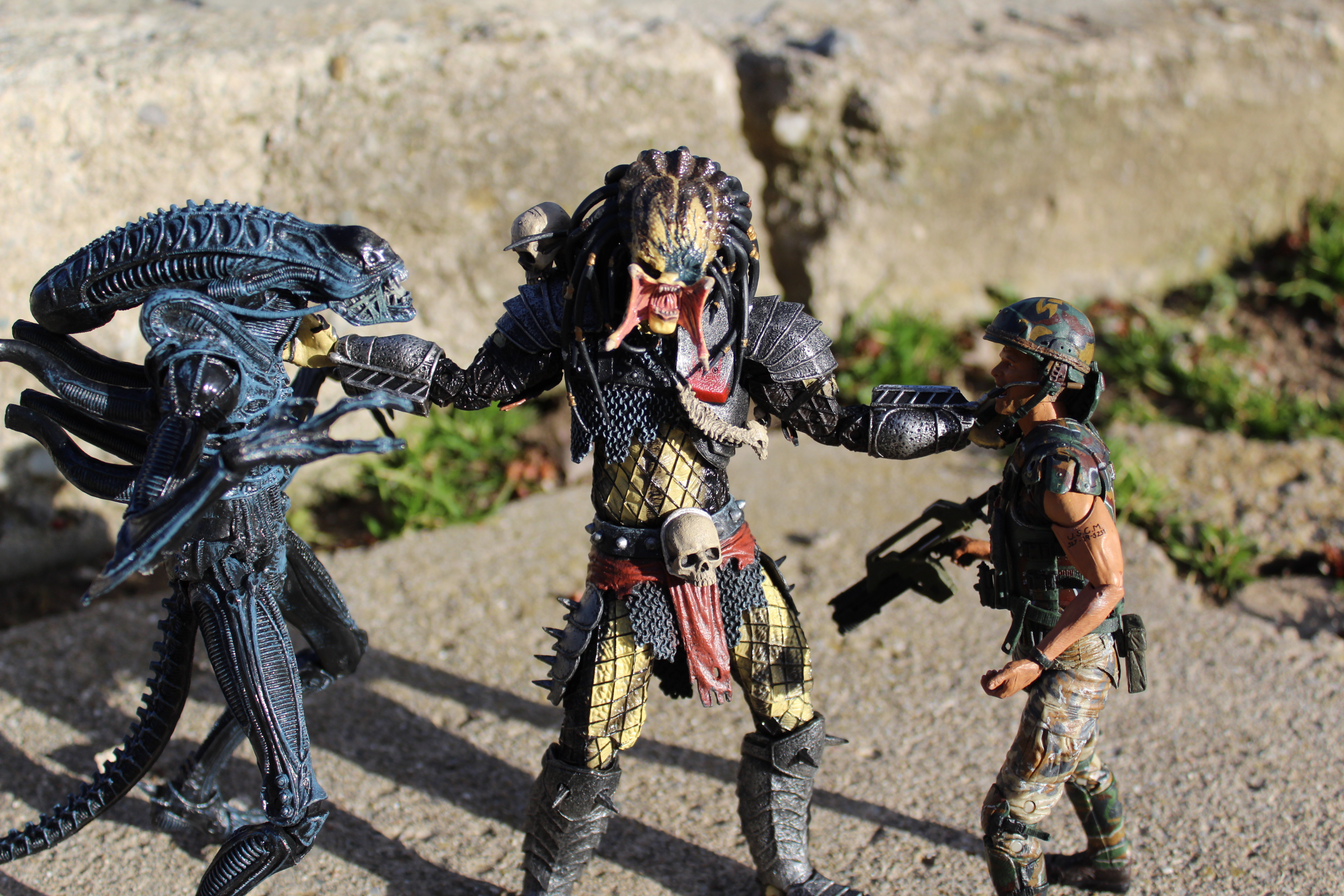Avp Evolution Deviantart AVP by BhewGuy on DeviantArt