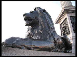 Lion Statue - Trafalgar Square